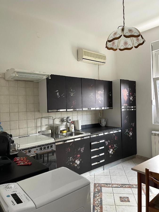 Appartamento Apartman Alba Belgrado Esterno foto